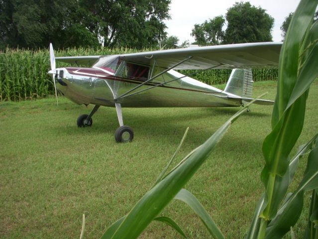 Cessna 120 (N76446) - Don Horst farm strip