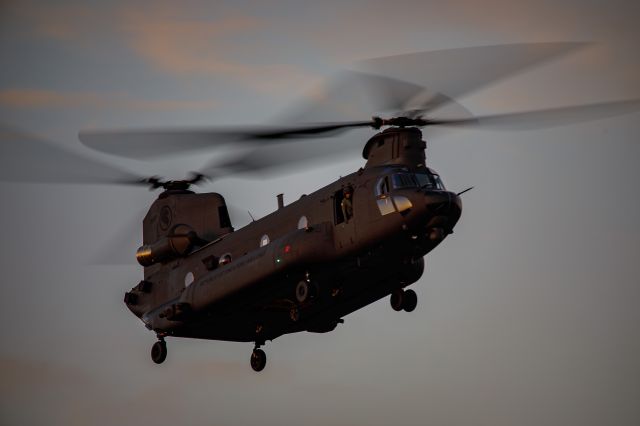 Boeing CH-47 Chinook — - Republic of Singapore CH-47F landing at dusk in Rockhampton during Exercise Wallaby 2022