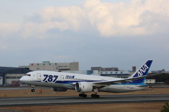 Boeing 787-8 (JA810A)