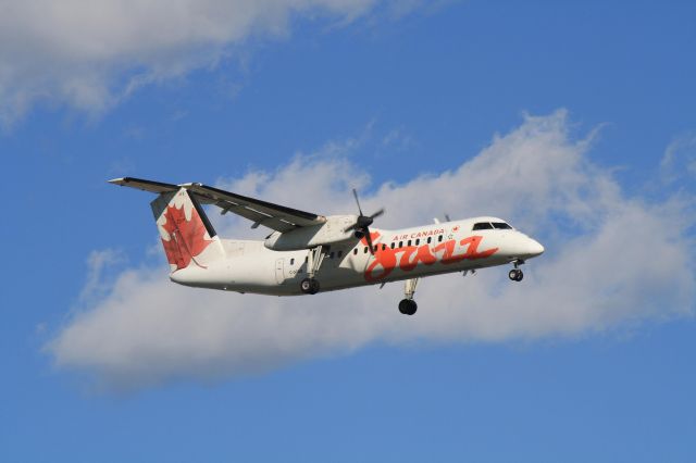 de Havilland Dash 8-100 (C-GTAQ) - Check the last window on this flight!