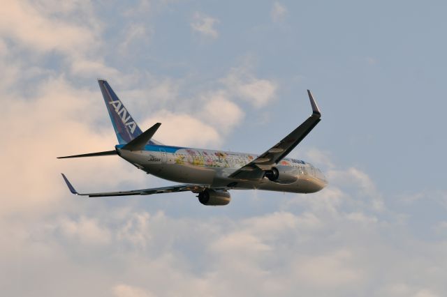Boeing 737-800 (JA85AN)