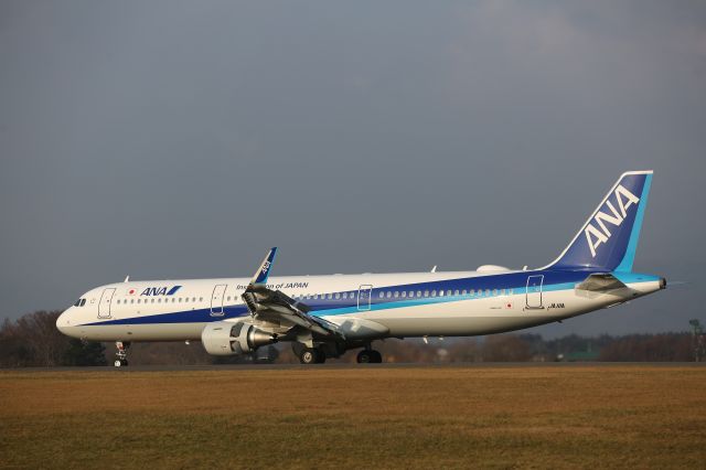 Airbus A321 (JA111A) - 05 December 2016:HND-HKD.