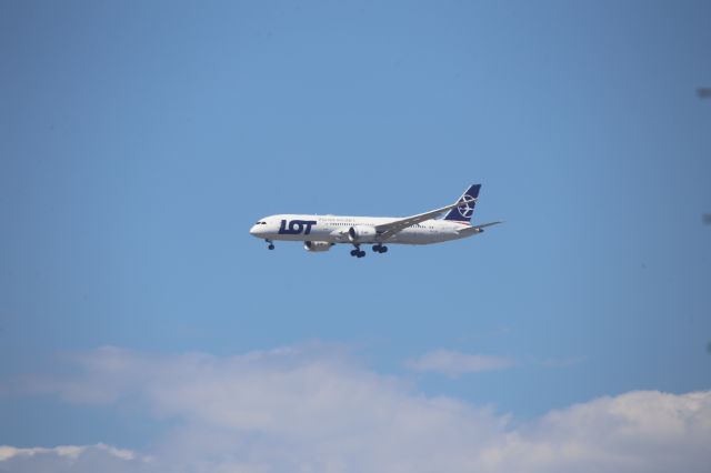 Boeing 787-9 Dreamliner (SP-LSG)