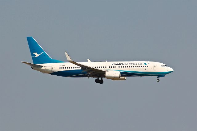 Boeing 737-800 (B-7176)