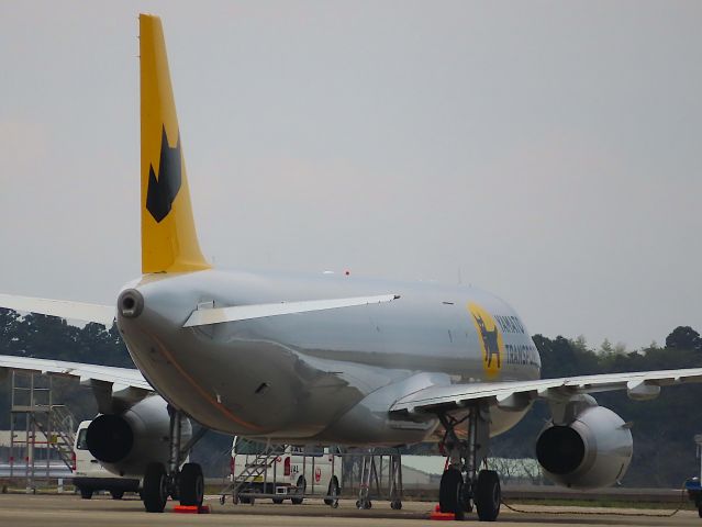Airbus A321 (F-WTAX) - Photo taken on Nov 12, 2023.br /Yamato Holdings plans to begin operations in April 2024,br /It is an Airbus A321-231 (P2F) of F-WTAX, which is a former QR A7-AIA converted to a frater, and will be registered as JA81YA.