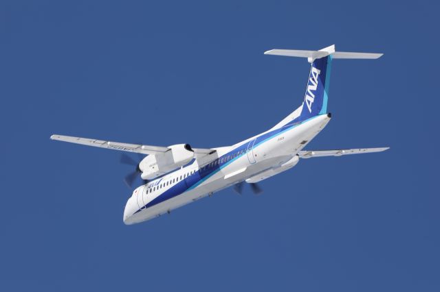 de Havilland Dash 8-400 (JA852A) - February 08, 2025:HKD-CTS.