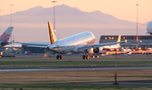 Airbus A320 (C-FDRK) - Air Canada Airbus A320-211 with Star Alliance livery sunset landing on YVR 26R