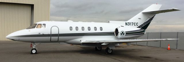 Hawker 800 (N317CC)