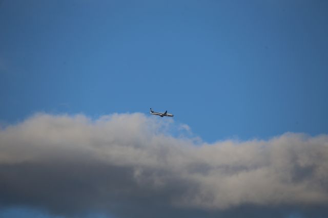 BOEING 777-300ER (JA781A)