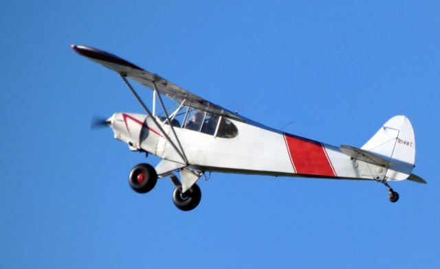 Piper L-21 Super Cub (N148T) - Shortly after departure is this 1953 Piper L-21 Super Cub PA-18-105 in the Autumn of 2019.