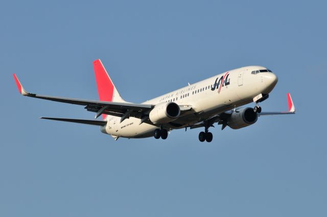 Boeing 737-800 (JA317J) - 2012/3/14