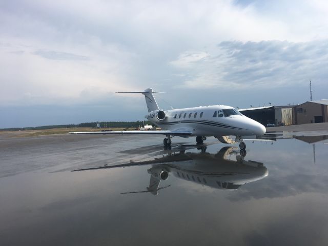 Cessna Citation III (C-GOSI) - On the ramp after a rainy night