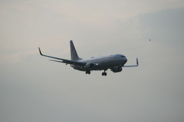 Boeing 737-800 (N12218)