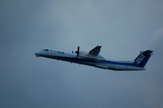 de Havilland Dash 8-400 (JA855A) - DHC-8-402Q Dash8 ANA WINGS (EH/AKX)