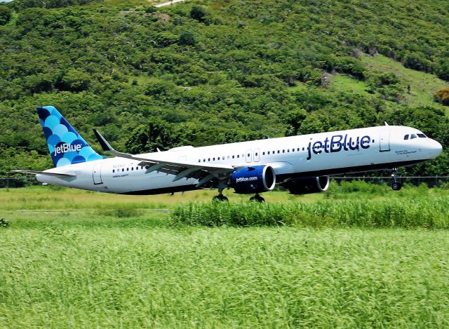 Airbus A321neo (N2060J)