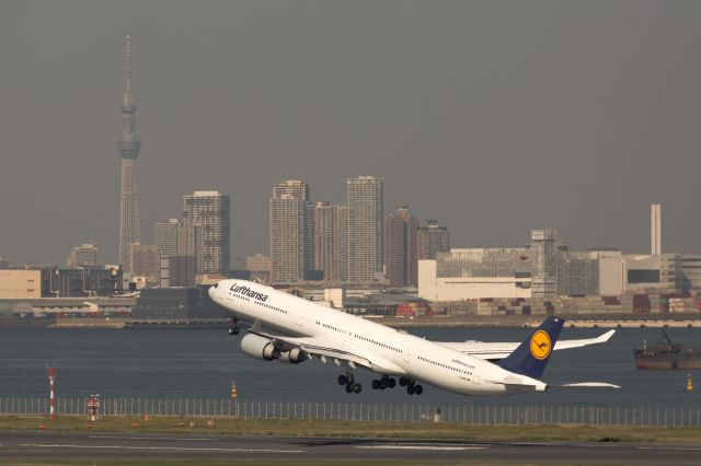 Airbus A340-600 (D-AIHQ) - Airbus A340-642Xbr /October.18.2014 Tokyo International Airport [HND/RJTT] JAPAN