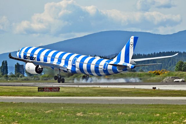 Airbus A330-900 (D-ANRG)
