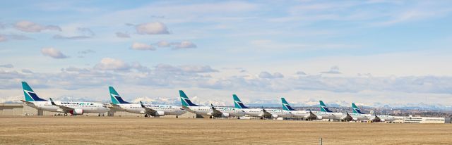 — — - Westjet Fleet parked at YYC on May 1, 2020.