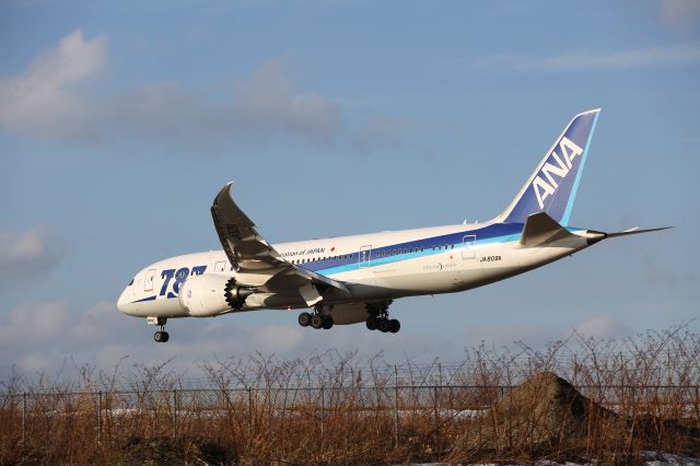 Boeing 787-8 (JA809A) - 03 January 2016:HND-HKD.