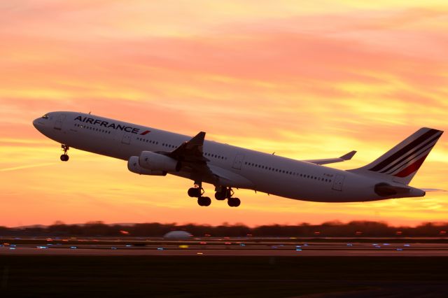 Airbus A340-300 (F-GLZI)