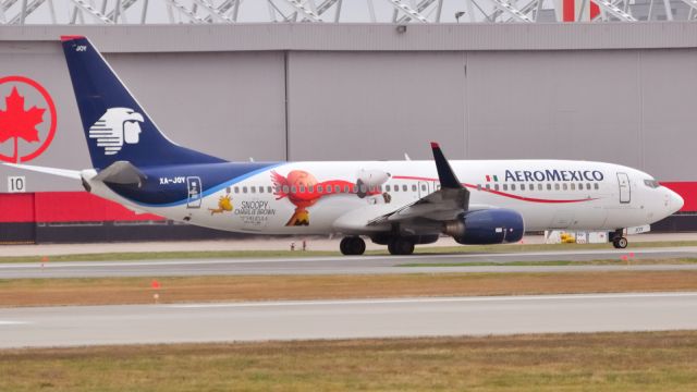 Boeing 737-800 (XA-JOY)