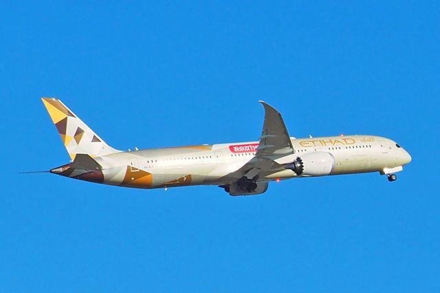 Boeing 787-9 Dreamliner (A6-BLM) - Boeing 787-9 Etihad A6-BLM YPPH 200118