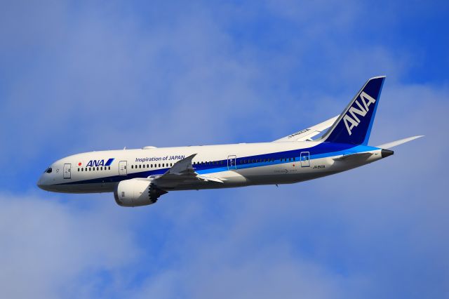 Boeing 787-8 (JA810A)