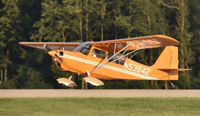 CHAMPION Tri-Traveler (N53842) - Airventure 2017