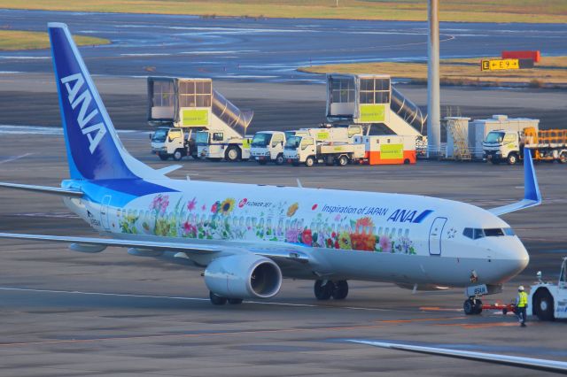 Boeing 737-800 (JA85AN)