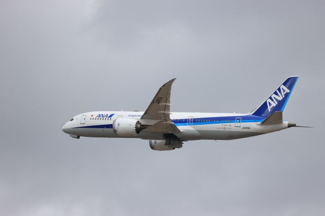 Boeing 787-8 (JA815A) - April 22, 2023:CTS-FUK.