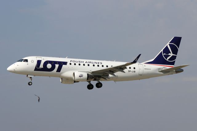 Embraer ERJ 175 (SP-LIB)