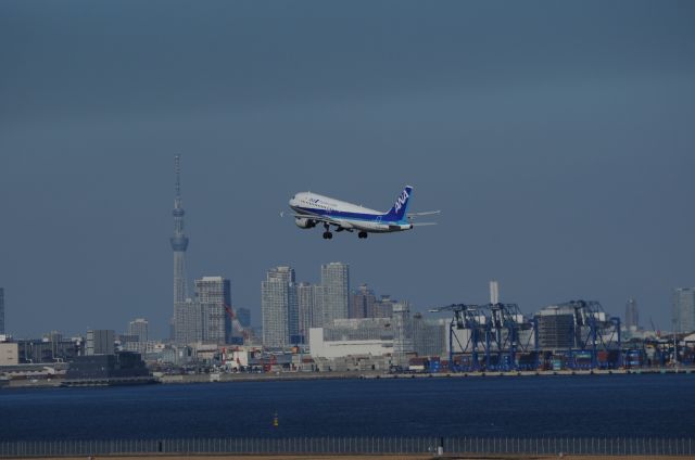 Airbus A320 (JA8300) - Jan.14.2019