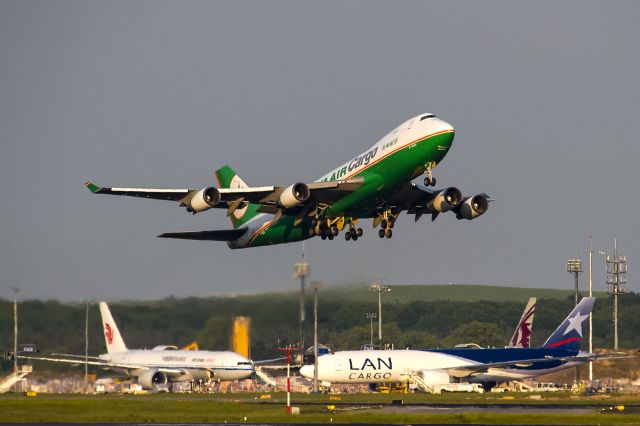 Boeing 747-400 (B-16481) - evening sun