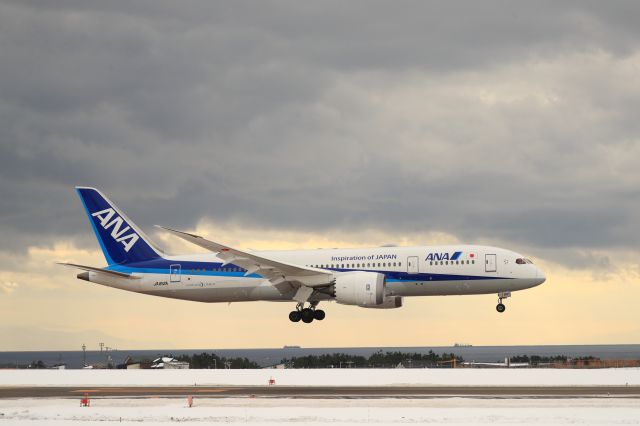 Boeing 787-8 (JA812A) - December 16th 2018:HND-HKD.