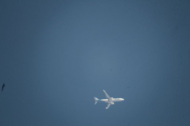 Boeing 737-900 (N248AK) - Over MMTJ 10,000 ft