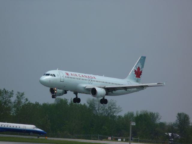 Airbus A320 (C-FTJQ) - landing on RWY#25