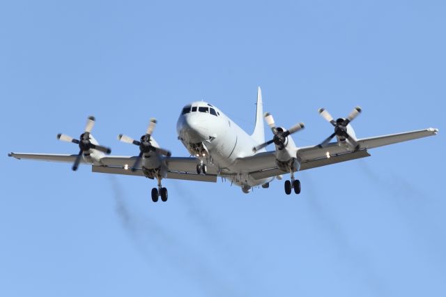 Lockheed P-3 Orion (A9661) - Lockheed P3 Orion, on approach to Townsville Airport. Soon to be replaced by the P8 Poseidon.