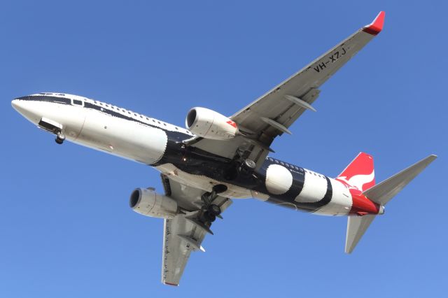 Boeing 737-800 (VH-XZJ) - Qantas B738, in special livery, approaching Townsville Airport.