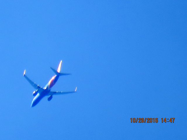 Boeing 737-800 (N8655D)