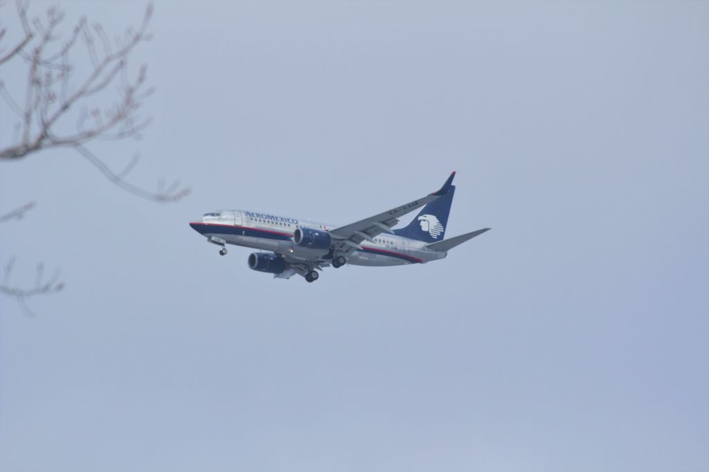 Boeing 737-700 (XA-AAM) - Inbound from MEX -- AMX686