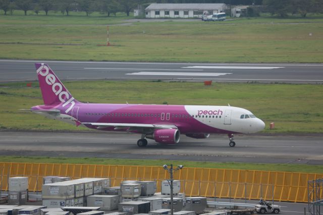 Airbus A320 (JA809P)
