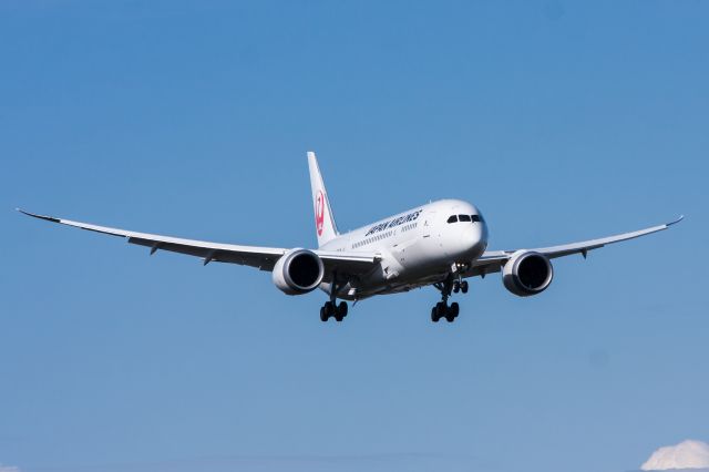 Boeing 787-8 (JA827J) - JAL 787 Landing at Paine Field