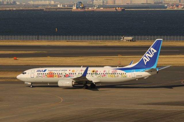 Boeing 737-800 (JA85AN) - March 9th 2019:KUH-HND.