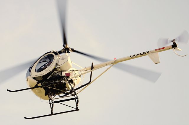 SCHWEIZER 269 (OO-LEV)