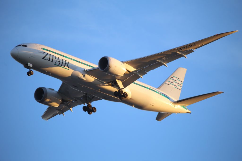 Boeing 787-8 (JA822J)