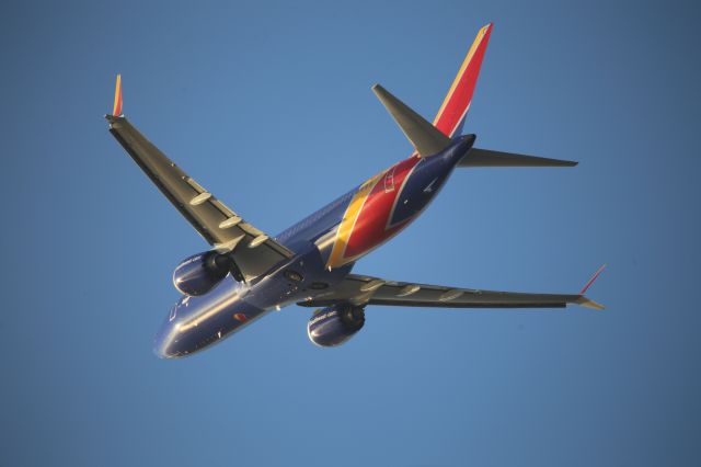 Boeing 737 MAX 8 —