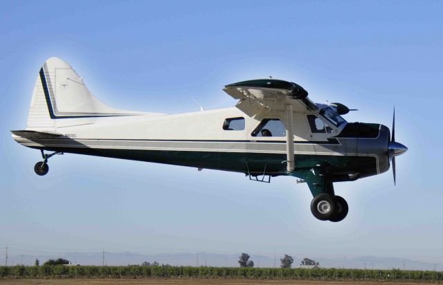 Cessna Citation V (N690)