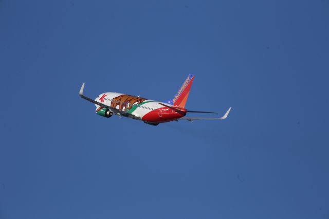 BOEING 737-300 (N609SW)