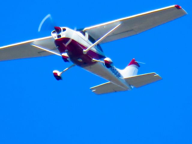 Cessna Skylane (N800P)