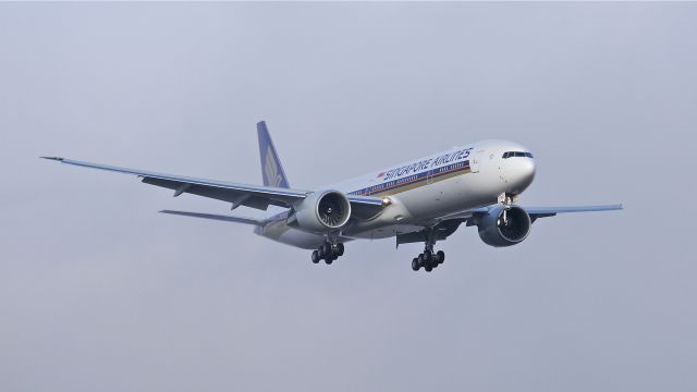 BOEING 777-300 (9V-SWZ) - BOE295 emerges from the fog on final to Rwy 16R to complete its B1 flight on 1/13/15. (ln 1266 / cn 42239).